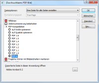 Screenshot OmniPage 18.0 Speichereinstellungen PDF-Bild